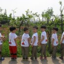 두리농장 이미지