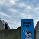 미앤마이독스 | 북한강 데이트 하기 좋은 힙한 분위기 애견카페 미앤마이독스