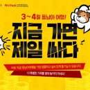 맞춤여행사 이미지