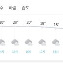 RE:(급벙) 남산 트레킹 10월29일(화랑 대장님) 이미지