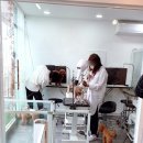 나나펫 이미지