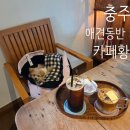 황가 - 북구 동변로15길 7 | [충주]재재재방문 애견동반카페 카페황가 내돈내산 찐 후기