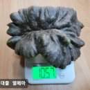 마정 티스토리