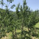 청구농장 이미지