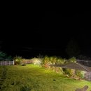 헬로우댕댕 이미지