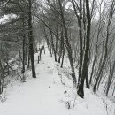 무봉산둘레길 이미지