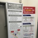 [경기수원] 메가스파사우나 후기｜주차부터 핀란드 사우나까지 내돈내산 솔직리뷰