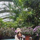 서울댄스스포츠학원 이미지