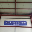농업회사법인 (주) 늘봄