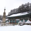 효명목장 한국경제