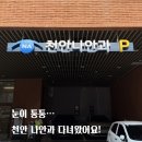 천안나안과의원 | 눈이 퉁퉁... 천안 나안과 다녀왔어요!