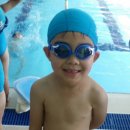 키튼아일랜드어린이집 이미지