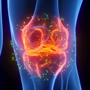 마포마디정형외과의원 이미지