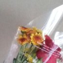 염산면공중목욕장 이미지