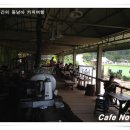도이창커피농장 이미지