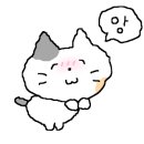 바당고띠 이미지