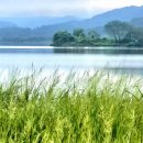 강변에서 이미지