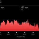 동탄 배드민턴장(나래울) 배드민턴장 이미지