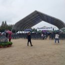 보강천 커피베이 이미지