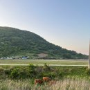 개도화산길 이미지