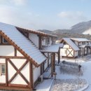 보성녹차닷컴 이미지