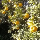 류진농장 이미지