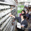 세븐일레븐 삼전레이크점 이미지