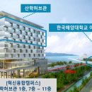 한국해양대학교 이미지