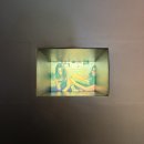 대림장식당 | [대림미술관] 페트라 콜린스: fangirl / 전시 솔직 후기