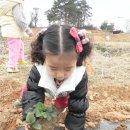 해맑은2농장 이미지