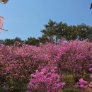 현충탑 화장실 이미지