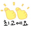 마산종합운동장 실내수영장 이미지