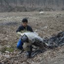 진봉농장 이미지