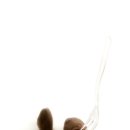 똥싼 강아지 이미지