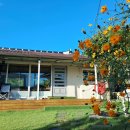 도담 펜션민박 이미지