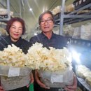 산청마트 이미지