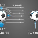 마그누스