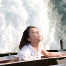 봉양주유소 이미지