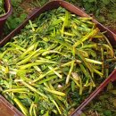 방곡농장 이미지