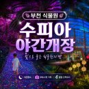 초록빛유치원 | 부천수피아 식물원 야간개장 예약없이 현장발권 후기
