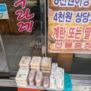 엔젤라투라레