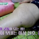 걷는 것이 고통이 되는 병! 관절염 관리 비법은? 이미지