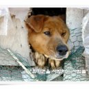 애인농장