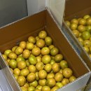 한솔이네농장 이미지