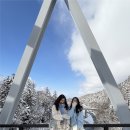 삿포로 여행 필수템｜유심사 일본 eSIM(이심) 실제 사용 후기 (속도·개통 후기) 및 설치 방법