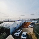 이셈공인중개사사무소 이미지