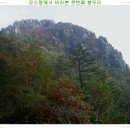 작은날개2 이미지