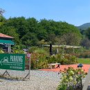 Cafe. The Green(카페 더 그린)