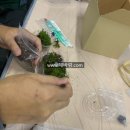 힐링원예 가드닝 이미지