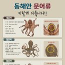 안동강구문어 네이버블로그